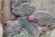 Фотография Алексеенко Александр