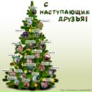 Фотография Смирновой Юлии