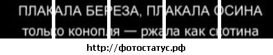 Валерія Кобаска фотография #44 (источник - https://vk.com/id133161778)