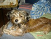 Иван Андреев фотография #26 (источник - https://vk.com/id2534545)