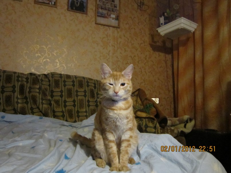 Дмитрий Эйсмонт фотография #24