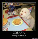 Фотография Богатикова Алексея