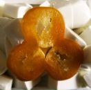 Фотография Комиссаровой Елены