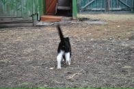 Фотография Сухина Аня