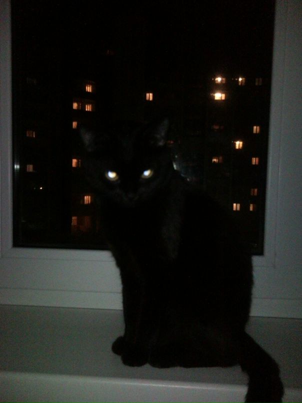 Ирина Солодченко фотография #49