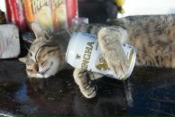 Фотография Юрьевой Ксении