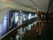 Фотография Лысковой Надежды