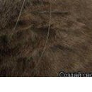 Діма Бричка фотография #15 (источник - https://vk.com/id137975523)