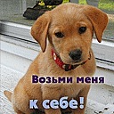 Аня Фраціян фотография #2 (источник - https://vk.com/id136400889)