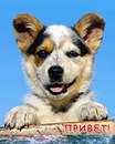 Марія Бура фотография #45 (источник - https://vk.com/id145716843)