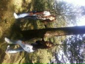 Альонка Сідей фотография #21 (источник - https://vk.com/id100174660)