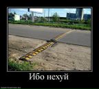 Денис Соловьев фотография #42 (источник - https://vk.com/id730284)