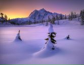 Фотография Лысенко Юлии