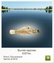 Савелій Бахтінов фотография #33 (источник - https://vk.com/id41655992)