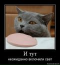 Оксана Калиниченко фотография #29 (источник - https://vk.com/id2298249)