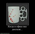 Фотография Садченко Татьяны