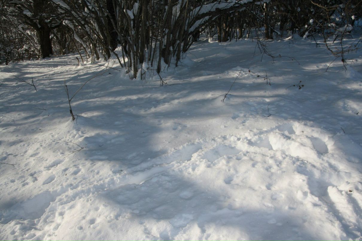 Дмитрий Нестеров фотография #31