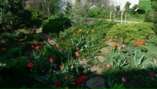 Георгий Никитенко фотография #44 (источник - https://vk.com/id2412298)