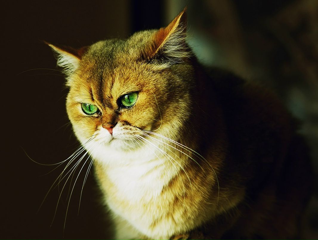 Павел Насенков фотография #36