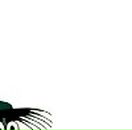 Соломія Грацонь фотография #10 (источник - https://vk.com/id34419761)