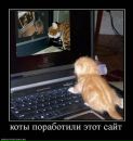Фотография Марат Китапов