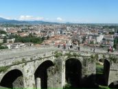 Міша Белцик фотография #42 (источник - https://vk.com/id134879470)