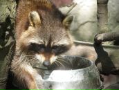 Макс Полукеєв фотография #33 (источник - https://vk.com/id101010168)