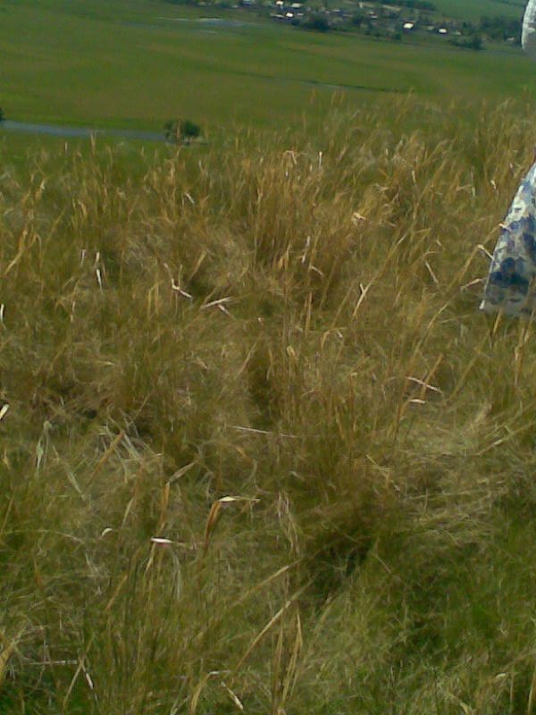 Рустем Валеев фотография #12