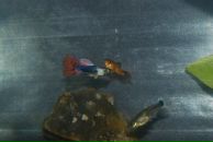 Юрій Дацько фотография #47 (источник - https://vk.com/id9641386)