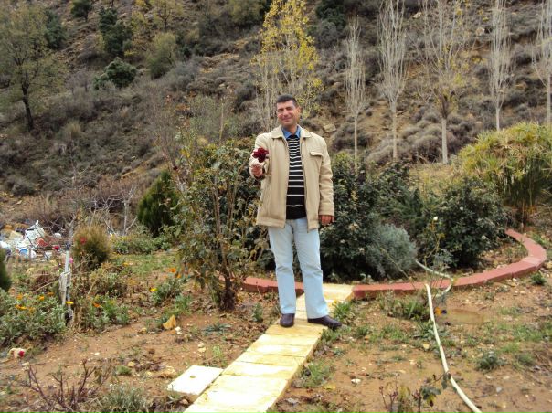 Yousef Dib фото №35