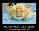 Фотография Верхова Дмитрия