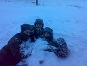 Фотография Алексеева Алексея