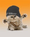 Юлечка Білан фотография #6 (источник - https://vk.com/id161527670)