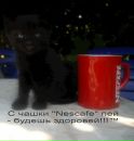 Ліля Сало фотография #2 (источник - https://vk.com/id135571513)