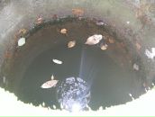 Сергей Корнеев фотография #40 (источник - https://vk.com/id1681972)