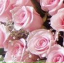 Наталі Котелянець фотография #44 (источник - https://vk.com/id77193697)