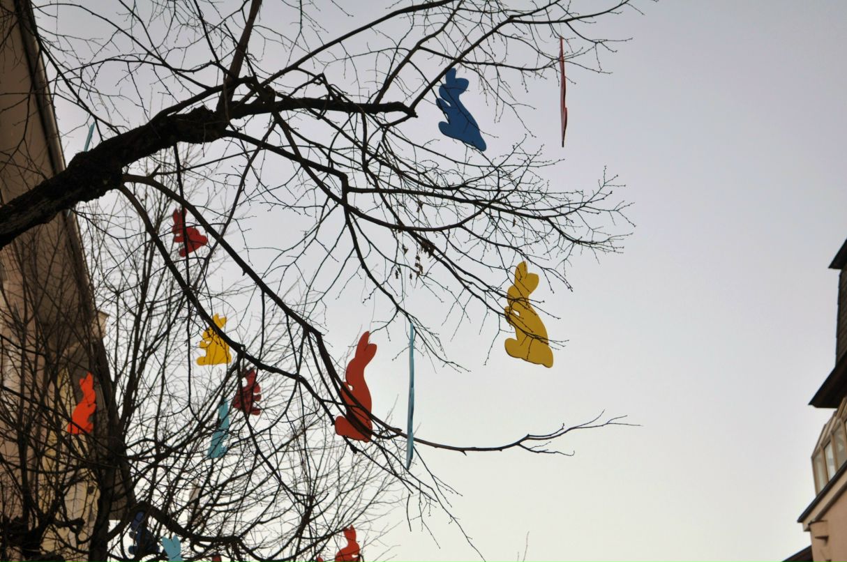 Anton Vorobyev фотография #10