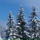 Ілонка Вихопень фотография #14 (источник - https://vk.com/id138294509)