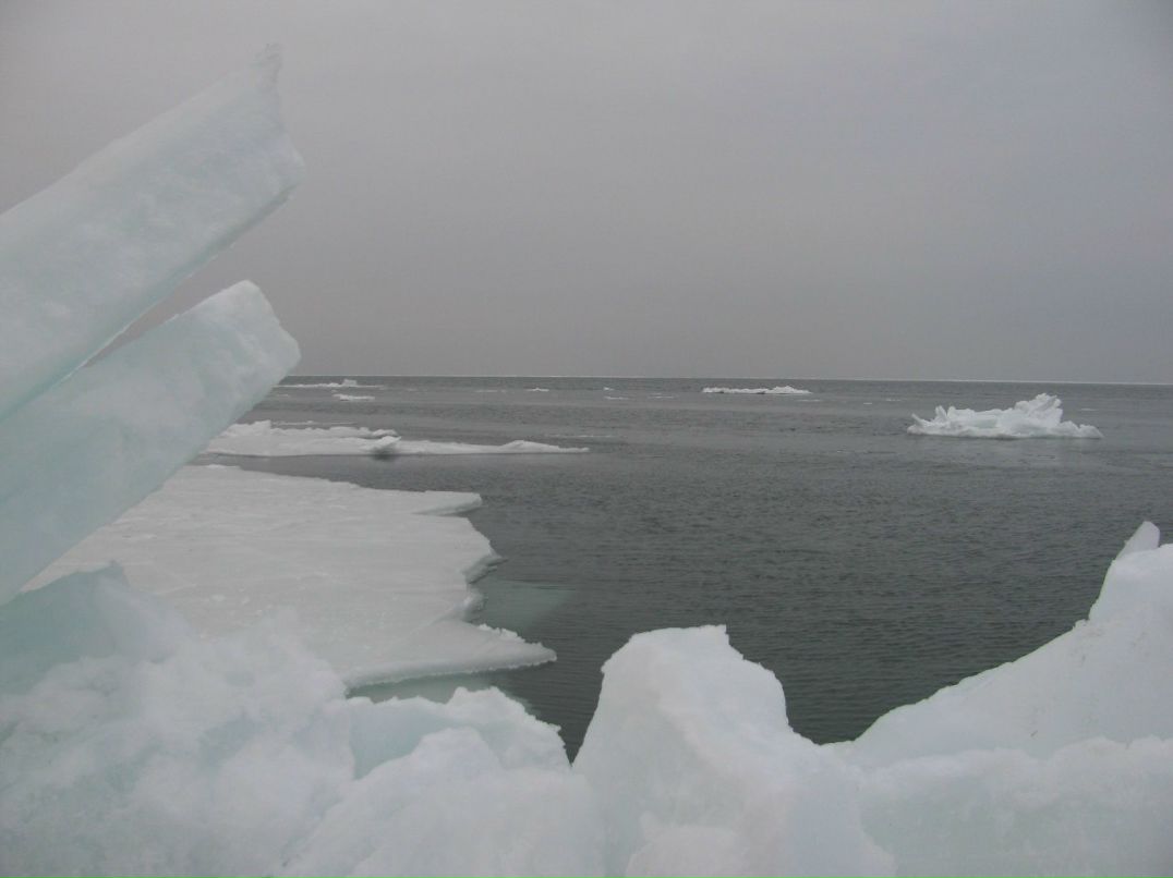 Иван Федченко фотография #6