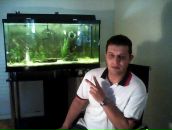 Фотография Alish Roma