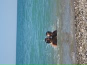 Таня Іжик фотография #5 (источник - https://vk.com/id127139663)