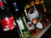 Фотография Веселова Юрия