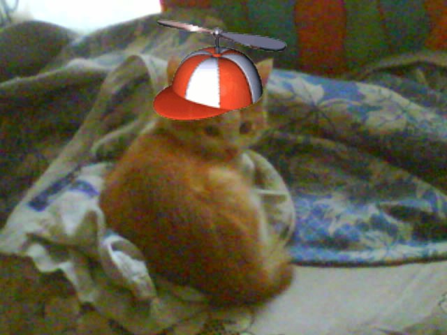 Андрей Мамаев фотография #12