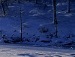 Ігор Гардий фотография #25 (источник - https://vk.com/id95057742)