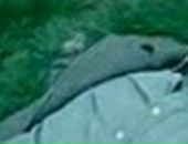 Віталій Дзера фотография #9 (источник - https://vk.com/id55941635)