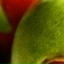 Елена Дмитриева фотография #12 (источник - https://vk.com/id485380)