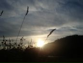 Фотография Федосеевой Татьяны