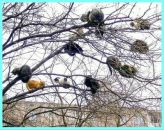 Фотография Голотюк Татьяны