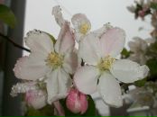 Сергій Гурінчук фотография #8 (источник - https://vk.com/id12433093)