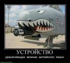 Міша Дідух фотография #41 (источник - https://vk.com/id122099160)